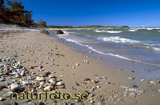 Sandstrand, gotland  