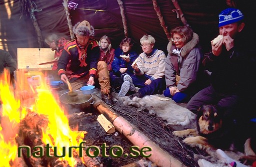 Bes�k i lappk�tan, rensj�n lappland  