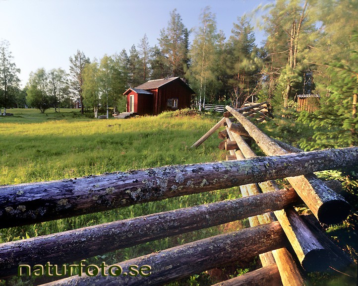 Lavkl�dda g�rdsg�rdsst�rar, rikti dokkas �verkalix norrbotten  