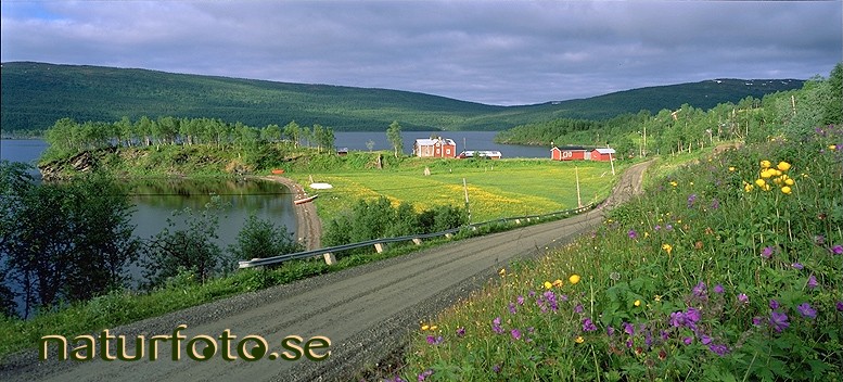 Grusv�g och udde, r�n�s vid t�ngvattnet storuman lappland  
