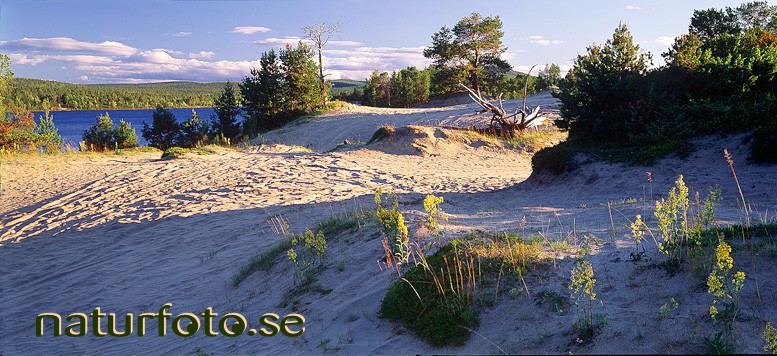 Sandblottor i �sen, idivuoma lappland  