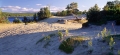 sandblottor i �sen