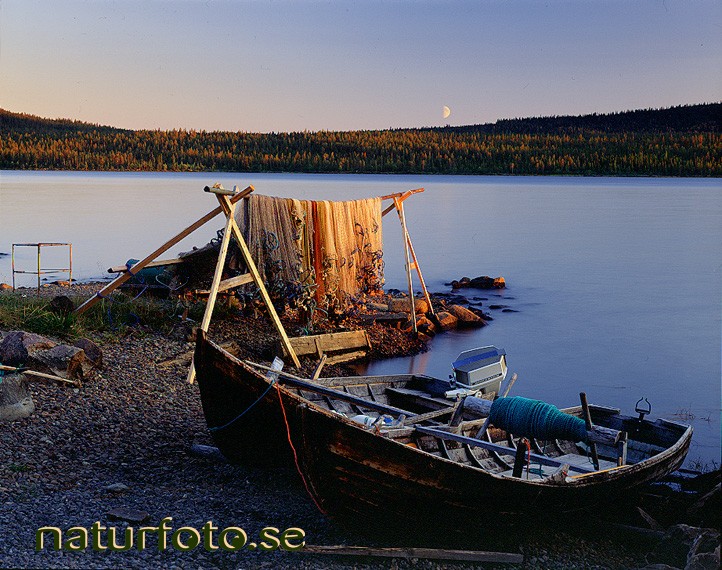 notredskap, paksuniemi torne�lven lappland - lapland bilder images 96082222 lappland notredskap paksuniemi torne�lven nets fishing fiske boats b�tar rivers vatten water landskap landscapes summer nights sommarnatt fiskar fiskare fishes fisher landsbygd landsbygder countryside byar villages night summernights �lvar  