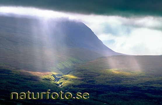 Halleluja �ver nissungorsa, fr�n njulla, nissunvaggi abisko nationalpark lappland  