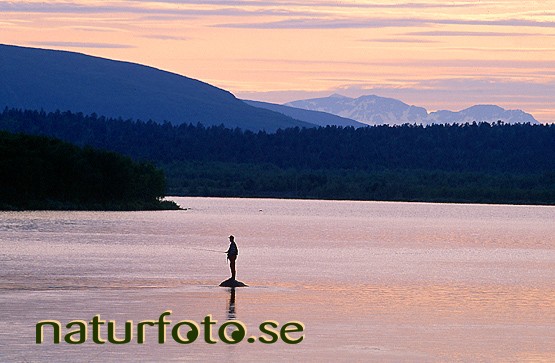Fiske fr�n sten, kaalasj�rvi kalix�lven lappland  