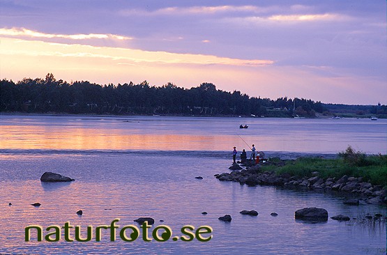 Fiskare, haparanda tornedalen torne�lven torne� tornio norrbotten  