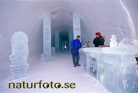 Receptionen i ishotellet
icehotel, jukkasj�rvi lappland  