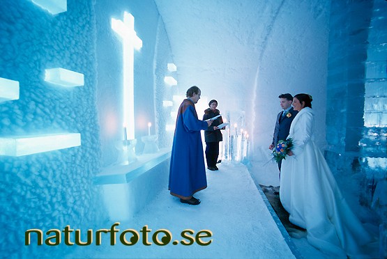 Br�llop i iskapellet, ishotellet
icehotel, jukkasj�rvi lappland
art barbro behm  