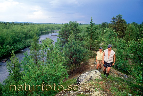 Promenad efter �skv�dret, ainattijoki lappland  