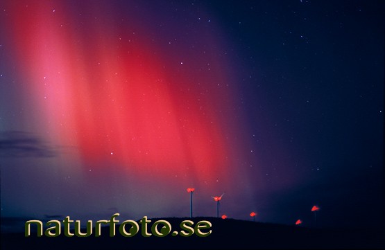 Norrsken och vindkraftverk
northern lights, peuravaara kiruna lappland  