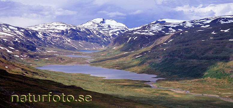 K�rsavagge, gorsavaggi vuolimus g�rsajavri gorsacohkka lappland  