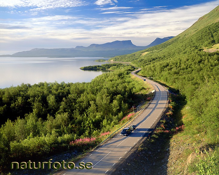 Nordkalottv�gen e10, vid bj�rkliden, tornetr�sk och lapporten, lappland  