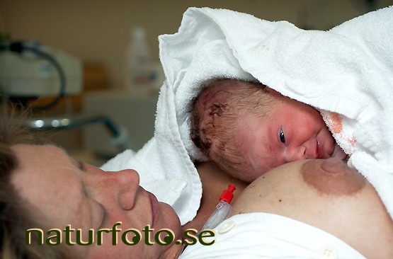 Mamma och nyf�dd baby,   