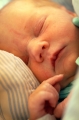 nyf�dd baby