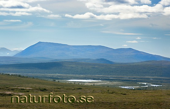 Taavvavuoma, ts�ktso, cokcu, davvavuopmi, lappland  