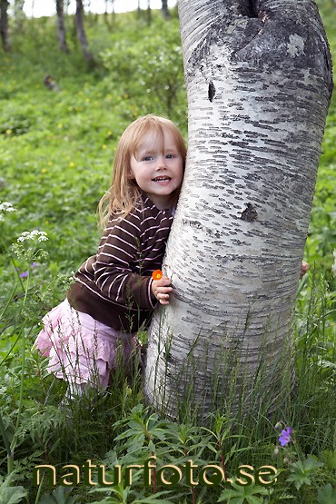 Liten flicka kramar fj�llbj�rk,   