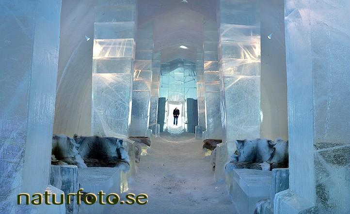 Absolut icebar
icehotel, jukkasj�rvi, lappland
absolut icebar 2008
design anders eriksson, anders r�nnlund


	  