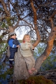 barn leker i träd,tall
pinus sylvestris
pine tree