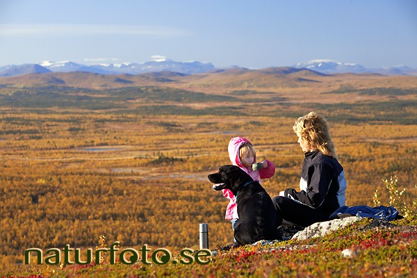 Fika p� fj�llet, luossavaara, kiruna, lappland  