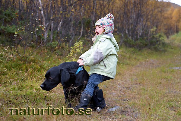 Hund och barn oense,   