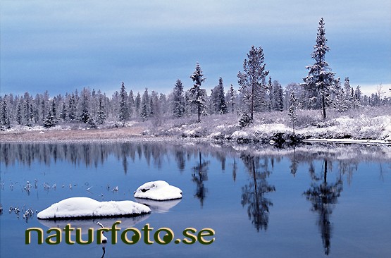 Stenar i vattnet, sautusjoki, jukkasj�rvi, lappland  