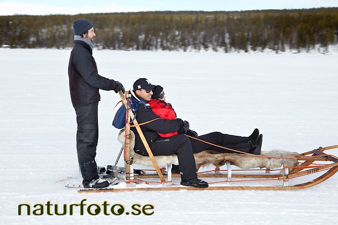 Hundspannsk�lke, jukkasj�rvi, lappland  