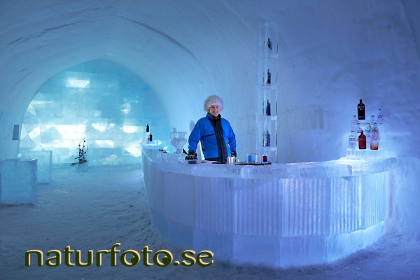 Absolut icebar
icehotel , jukkasj�rvi, lappland
absolut icebar 2008
design anders eriksson, anders r�nnlund  