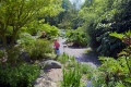 botaniska tr�dg�rden