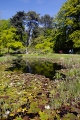 botaniska tr�dg�rden