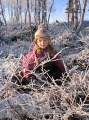 barn bland rimfrost