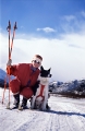 skidåkare med hund