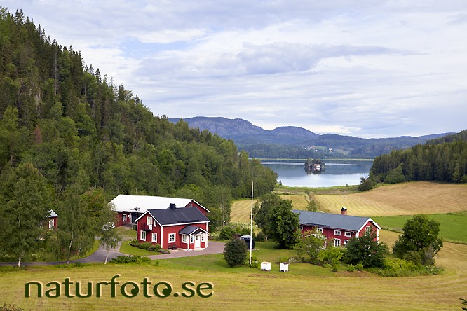 G�rd i sund,
the high coast, world heritage area, v�gsfj�rden, nordingr�, �ngermanland 
v�rldsarvet h�ga kusten   