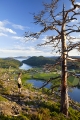 häggvik, gaviksfjärden
the high coast, world heritage area
pinus sylvestris
pine tree