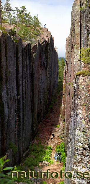 Sl�ttdalsskrevan
the high coast, world heritage area, skuleskogens nationalpark, �ngermanland 
v�rldsarvet h�ga kusten   