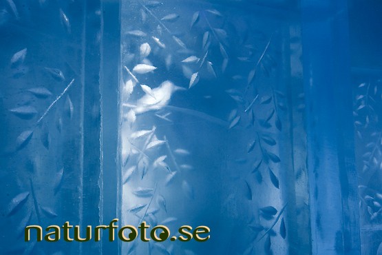 Svit japan 2008
icehotel

, jukkasj�rvi, lappland
suite japan 2008
mikael nille nilsson
sofi ruotsalainen
�ke larsson
sweden  