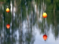 varningsballonger i dammen