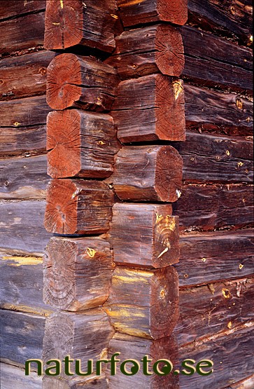 knuttimring,  - bilder images st�ende vertical brun brown byggnaderna kultur culture buildings timmer timber h�rn corners houses hus byggnader 95081549 knuttimring  