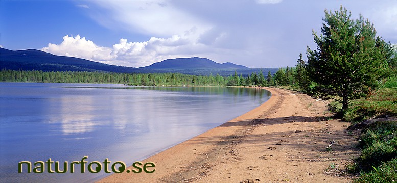 sandstrand, sevuj�rvi lappland - bilder lapland images 01062061 lappland sandstrand panoramabilder panoramic sevuj�rvi vildmark wilderness beaches lakes sj� landskap landscapes scenery sceneries stilla lugnt calm nature sj�ar stranden str�nder badstrand  