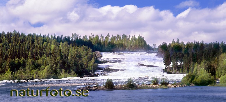 Storforsen, pite�lven bredsel �lvsbyn norrbotten  