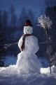 snögubbe
snowman