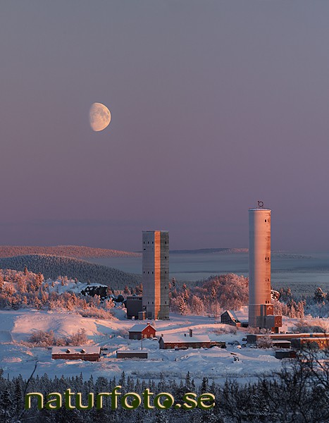 Torn p� tga-omr�det, tuollovaara, kiruna, lappland  