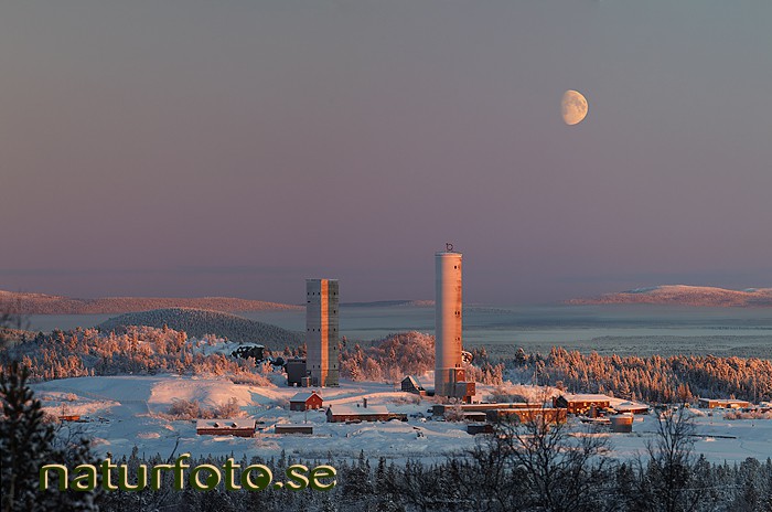 Torn p� tga-omr�det, tuollovaara, kiruna, lappland  