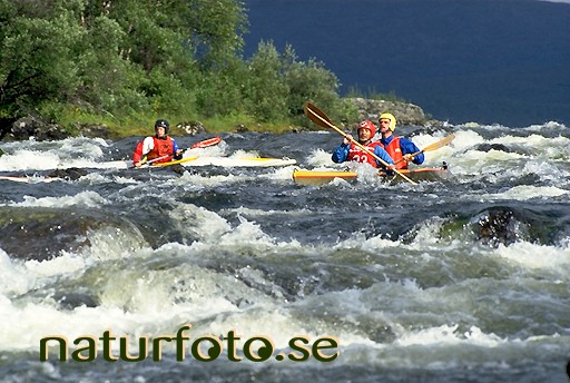 Kanott�vling, p�ttikk�kurkkio k�nk�m��lven lappland finland  