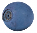 blåbär
blueberry
vaccinium myrtillus