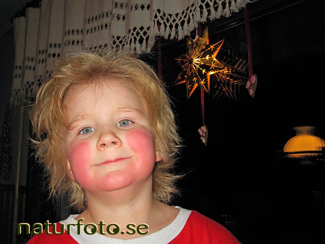 Pojke med r�da kinder, lappland  