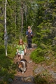 familj vandrar i skogen 
ögeltjärns naturreservat
gullviks friluftsområde