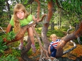 barn leker i skogen 
ögeltjärns naturreservat
gullviks friluftsområde