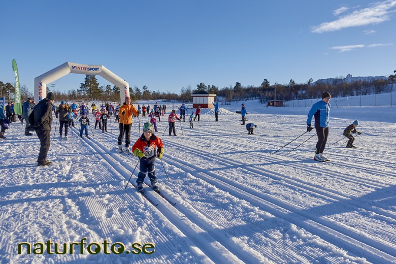 J�garloppet
Varggropen, Kiruna, lappland  
