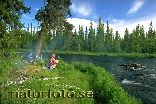 L�ger vittangi�lven, lappland  