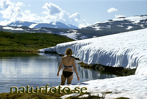 Fj�llbad, lappland  